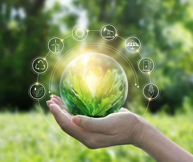 ESG Ratings in 2026: Correction, Not Collapse